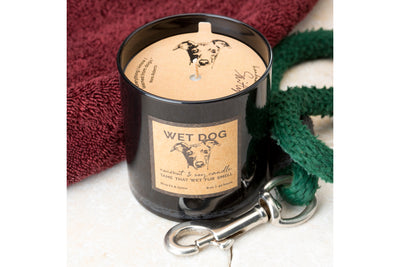 Wet Dog Candles
